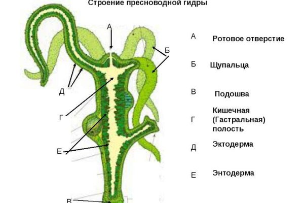 Кракен ссылка список